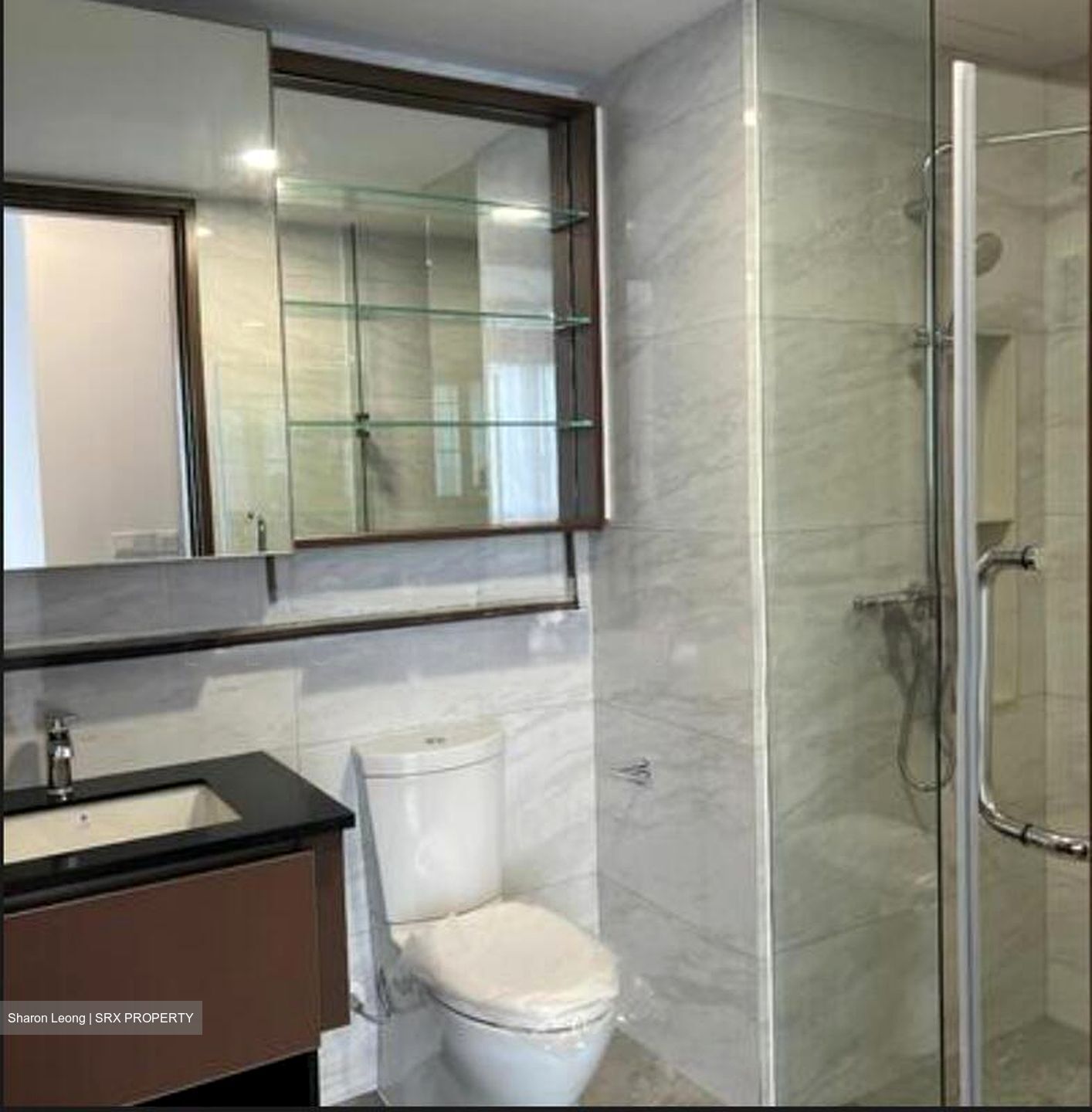 Normanton Park (D5), Apartment #520645041